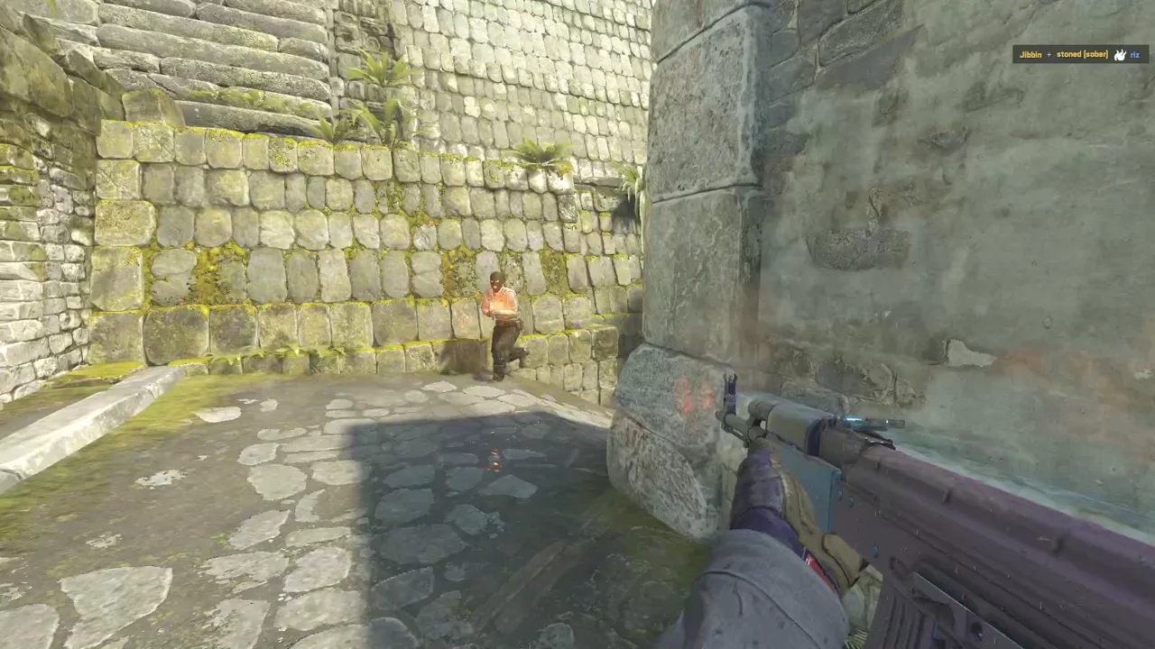 highlight
